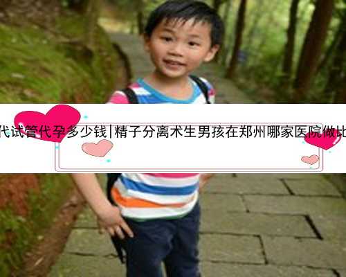 南京三代试管代孕多少钱|精子分离术生男孩在郑州哪家医院做比较好？