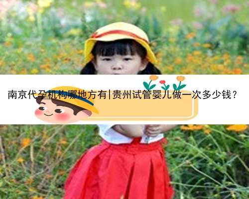 南京代孕机构哪地方有|贵州试管婴儿做一次多少钱？